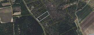 Tbd State Road S-9-182, Cameron, SC 29030