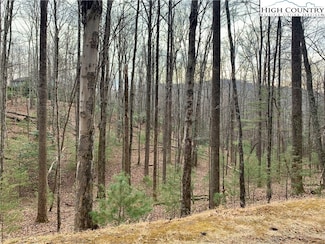 TBD W Laurel Cir, Deep Gap, NC 28618
