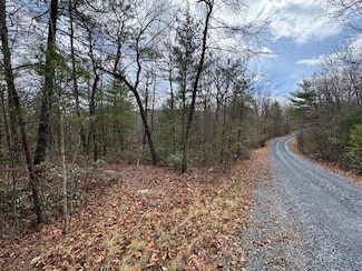Lot 45 Fetterbush Ln, Hinton, VA 22831