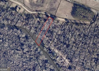 LOT 21 the River Landing, Midville, GA 30441