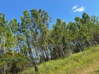 0 Hampton Ridge Unit 7447984, Mobile, AL 36608