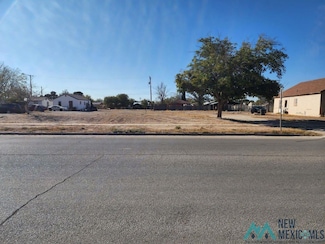 705 S Halagueno St, Carlsbad, NM 88220