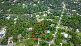320 E Knightsbridge Place, Lecanto, FL 34461