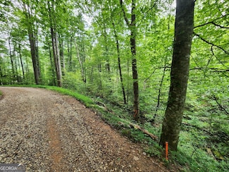 TRACT 2B Poplar Cove Rd, Suches, GA 30572