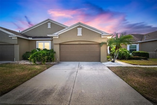 30224 Lettingwell Cir, Wesley Chapel, FL 33543