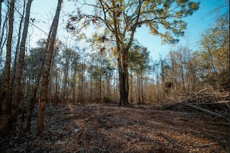 0 River Dale - Getaway Unit Lot19, Surrency, GA 31513