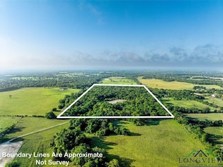 197 Fcr 445, Fairfield, TX 75840