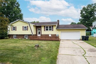 396 Forest Ln, Wadsworth, OH 44281