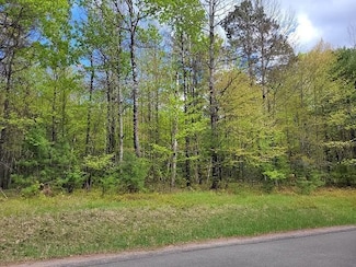 0000 Arnett Rd Unit Lots 2 & 4, Arbor Vitae, WI 54568