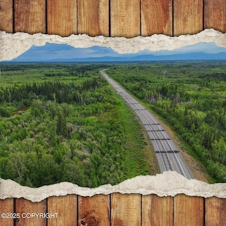 Mile 294.5 Parks Hwy, Nenana, AK 99760