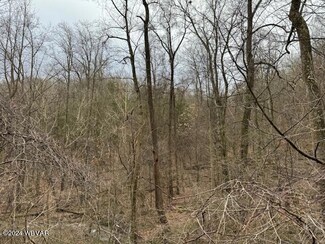 0 Laver Rd, Muncy, PA 17756