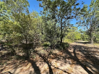 268 Spoonbill Dr, Kissimmee, FL 34759