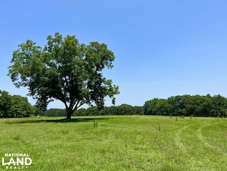 343 Jerusalem Rd, Clio, AL 36017