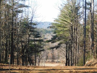 2273 2nd Nh Turnpike Unit 6, Deering, NH 03244