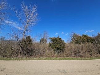 216 Cuyahoga Dr, Lost Nation, IL 61021