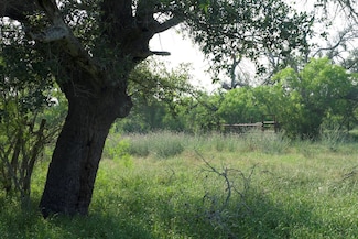 TBD Taylorsville Rd, Red Rock, TX 78662