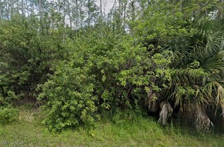 3315 37th St W, Lehigh Acres, FL 33971