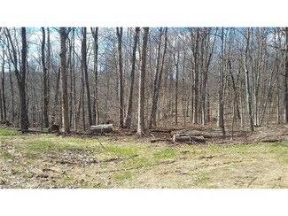 0 Town Hwy Unit 17 3795598, New Straitsville, OH 43766