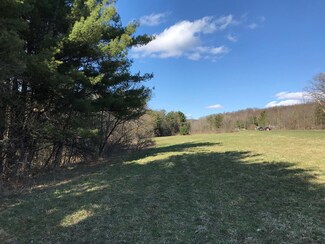 0 Hoffman Hollow Rd, Lowman, NY 14861