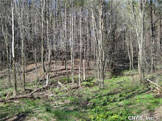 0 Dobbins Rd Unit S252585, Rodman, NY 13682