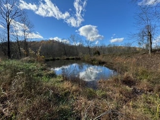 1119 Arnold-Leach Rd, Horse Branch, KY 42349