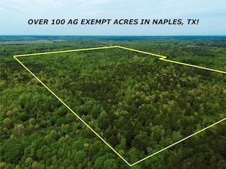 TBD County Road 2742, Naples, TX 75568