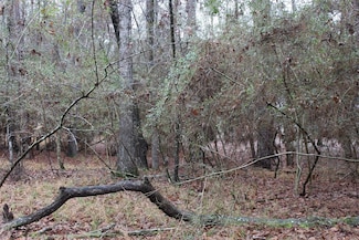 Lot 6 Magnolia Ct, Trinity, TX 75862