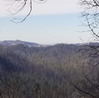 20604 Little Basin Rd, Boulder Creek, CA 95006
