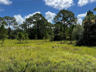 365 S Nogal St, Montura, FL 33440