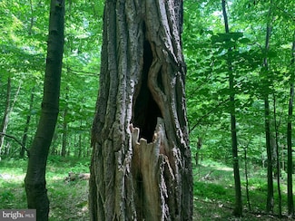 0 Wilderness Dr Unit WVGT103492, Cabins, WV 26855