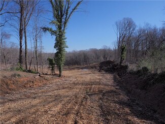 0 Davis Rd Unit 1054578, Walkertown, NC 27051