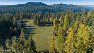 NKA 320acs Summer Rd, Orofino, ID 83544