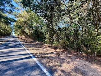 TBD Louisiana 440, Mount Hermon, LA 70450