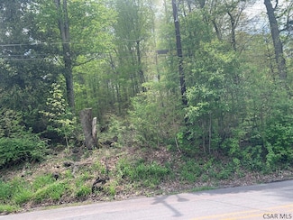 91 Lambert St, Shade Township, PA 15926