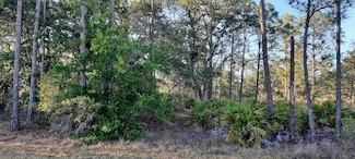 1012 Japonica Dr, Indian Lake Estates, FL 33855