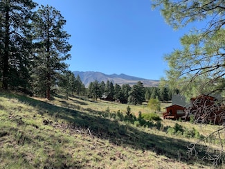 11668 N Rope Arabian Rd Unit 1, Flagstaff, AZ 86004