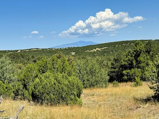 Tbd Silver Spurs Ranch Unit 5 125, Walsenburg, CO 81089