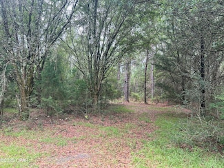 1680 Franks Ln, Bonifay, FL 32425