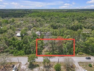 10113 Waddell St, Moon Lake, FL 34654