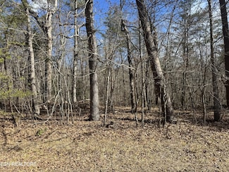 0 Cumberland Lakes Dr Unit RTC2962881, Monterey, TN 38574