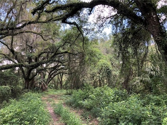 7239 S County Line Rd, Plant City, FL 33567