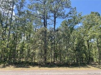 645 N Heathrow Dr, Lecanto, FL 34461