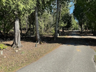 4254 Pine Cove Ln, MacKinac Island, MI 49757