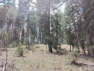 44 Trapline Loop Rd, Oroville, WA 98844