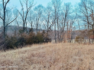 1249 Weatherview Dr, Summit Township, MO 65043