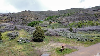 1870 S Beaver Bench Rd Unit 1442, Heber City, UT 84032