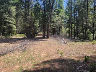 12-Acres Ringtail Rd, Georgetown, CA 95634