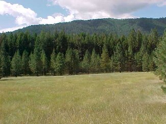 ???? Mullan Rd, Superior, MT 59872