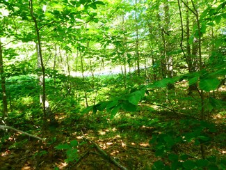 0 Old Portland Rd Unit 1497065, Waterboro, ME 04061