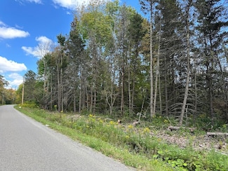 Vl Unit McAndrews Road LotWP, Andover, NY 14806